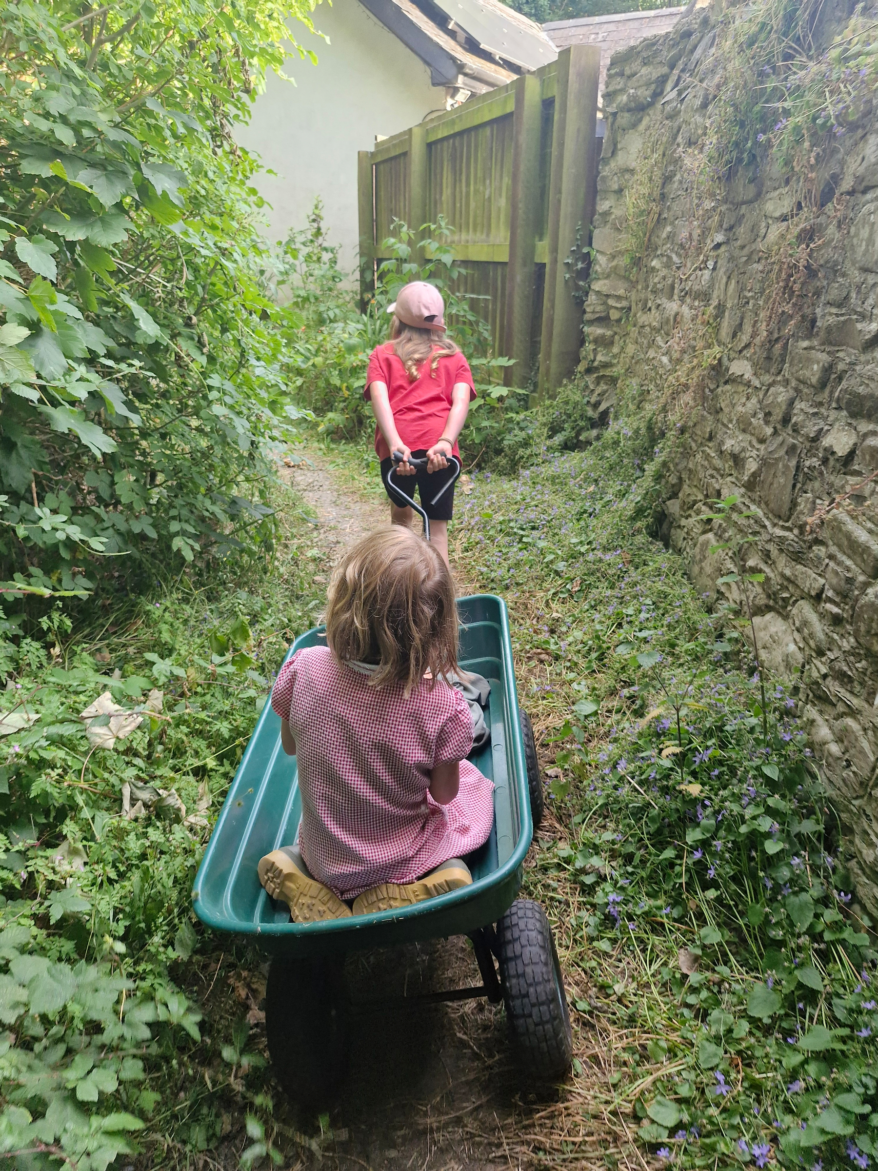 Auto-generated description: A child in a red shirt and pink cap is pulling a green wheelbarrow carrying another child in a pink dress along a narrow garden path.
