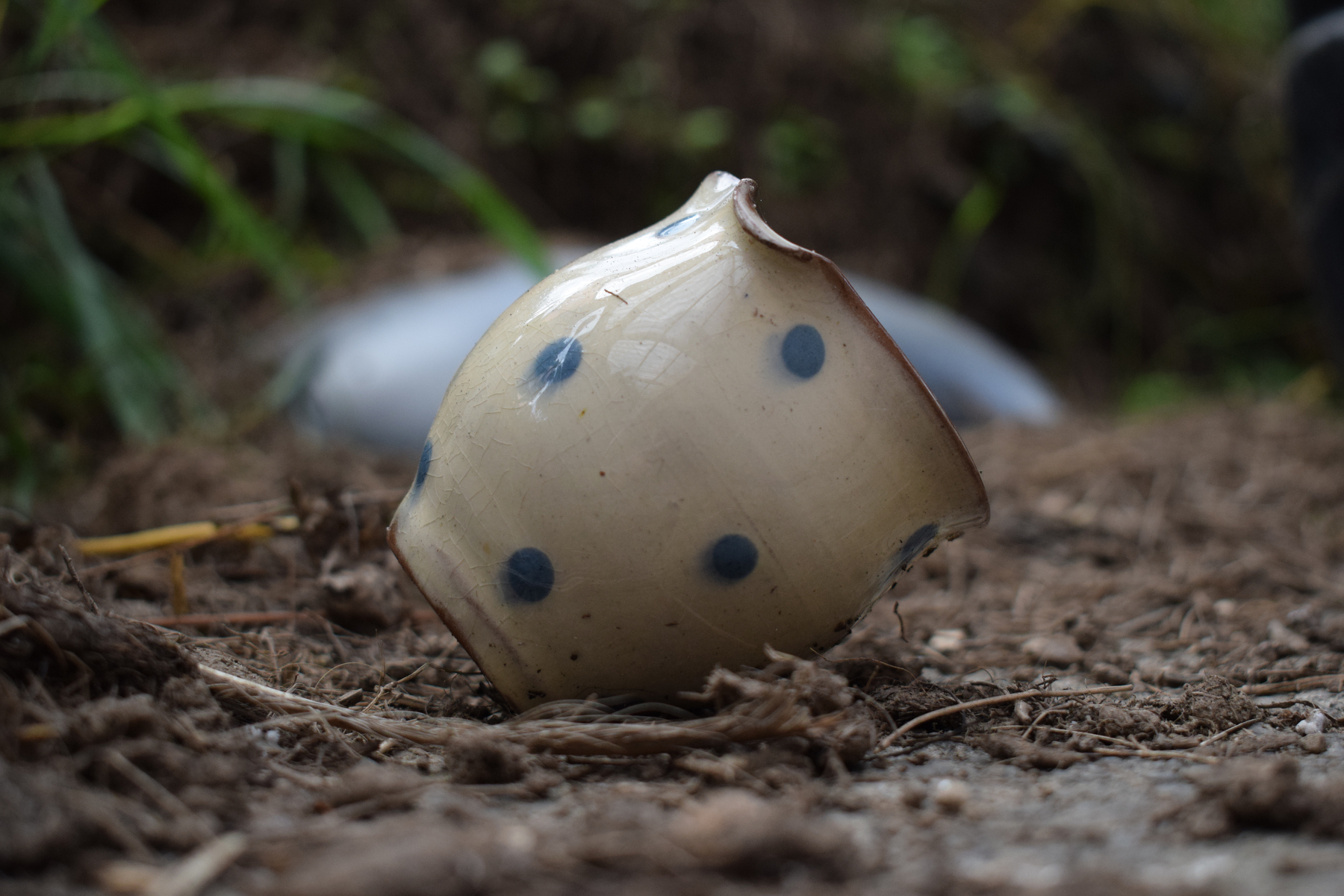 Auto-generated description: A small, polka-dotted ceramic cup lies on its side on the ground surrounded by soil and grass.